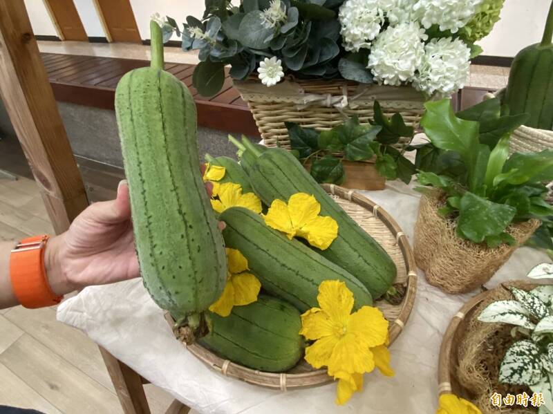健康網》夏日消暑瓜瓜大集合 7種常見瓜類比一比