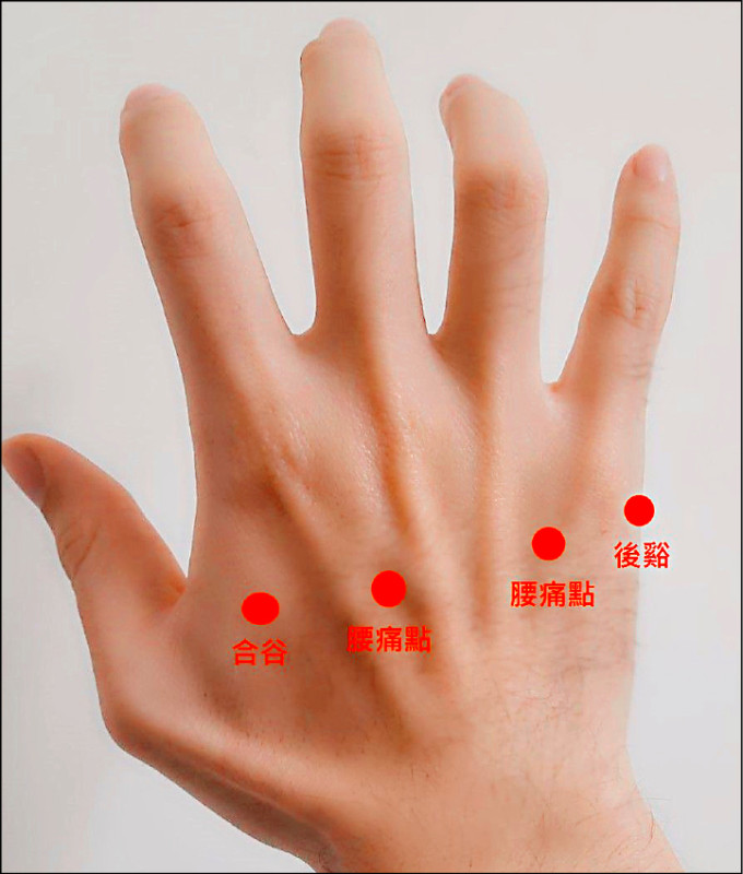 ▲透過穴道針灸可疏通經絡、減輕局部發炎，放鬆腰部肌肉。（照片提供／江驊修）
