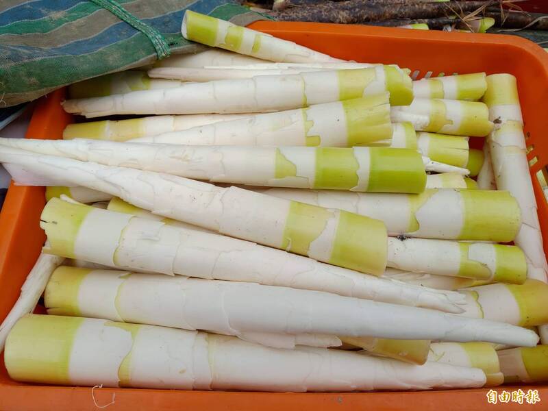 健康網》山珍美味登場！ 農糧署推「桂竹筍3吃」料理