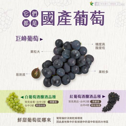 不同品種葡萄適合用途。（圖取自農糧署臉書）