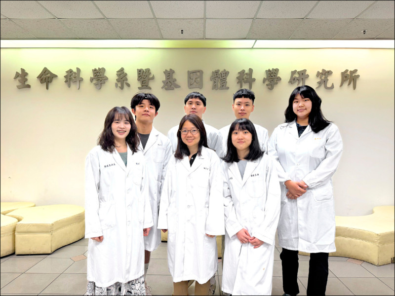 陽明交大攜手哈佛 發現肝臟自我修復關鍵基因