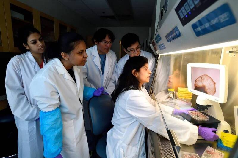 約翰霍普金斯大學助理教授卡圖里亞 (Annie Kathuria,前排右) 與其團隊在實驗室中,觀察他們所開發的「微型全腦」模型,此一突破有望為自閉症等複雜精神疾病的研究帶來革命。(圖取自Johns Hopkins University) 約翰霍普金斯大學助理教授卡圖里亞 (Annie Kathuria,前排右) 與其團隊在實驗室中,觀察他們所開發的「微型全腦」模型,此一突破有望為自閉症等複雜精神疾病的研究帶來革命。(圖取自Johns Hopkins University)