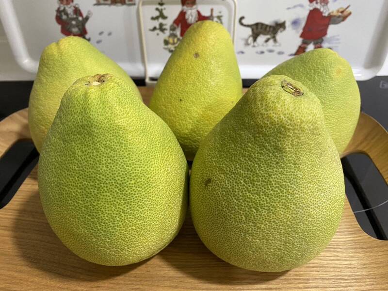 健康網》中秋將至 柚子不能與這些藥一起吃