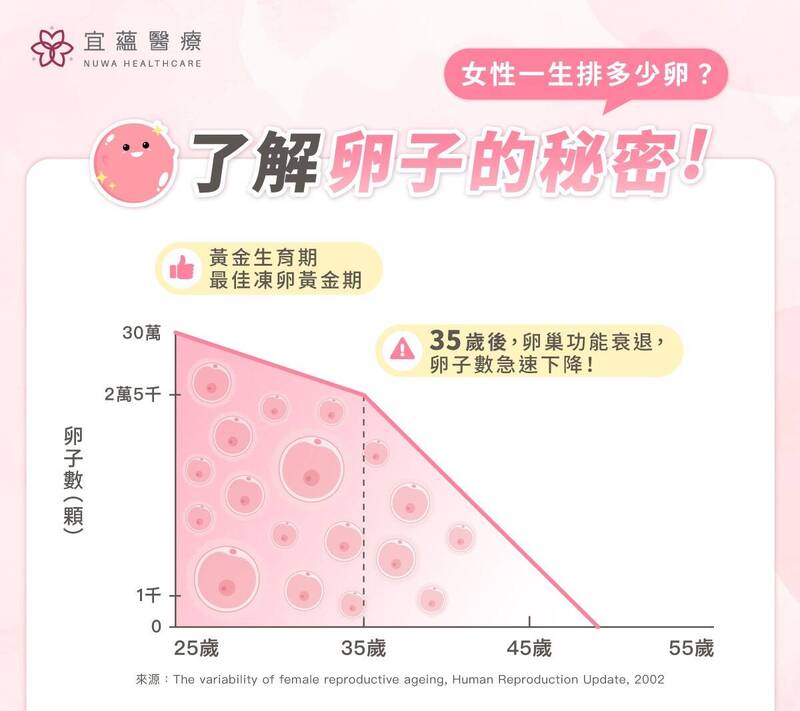 宜蘊醫療醫師沈孟勳指出,卵巢功能會隨年齡自然退化,卵子數量與品質在35歲後逐漸衰退,尤其38歲後更是陡坡下降。(宜蘊醫療提供) 宜蘊醫療醫師沈孟勳指出,卵巢功能會隨年齡自然退化,卵子數量與品質在35歲後逐漸衰退,尤其38歲後更是陡坡下降。(宜蘊醫療提供)