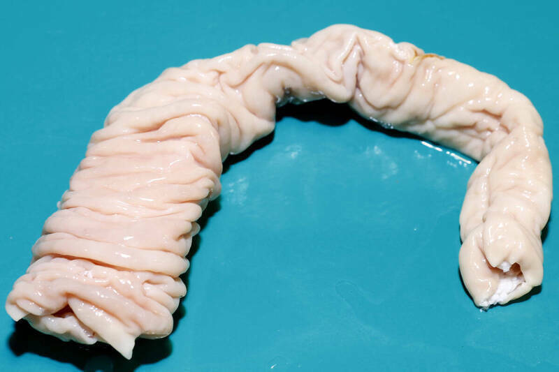 不肖業者為讓豬大腸看起來潔白美觀,竟使用工業級過氧化氫漂白;圖為豬大腸示意圖。(資料照) 不肖業者為讓豬大腸看起來潔白美觀,竟使用工業級過氧化氫漂白;圖為豬大腸示意圖。(資料照)