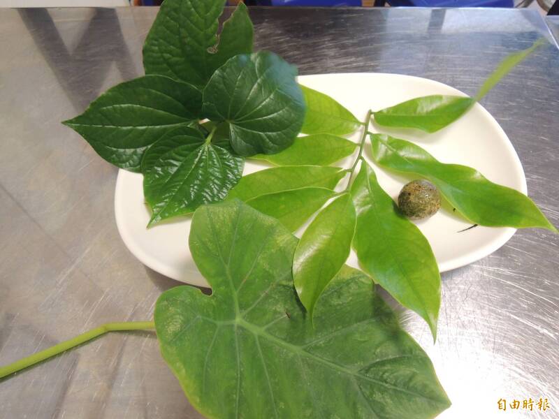 農糧署指出,白鳳菜(前)富含膳食纖維與維生素B2,能促進腸胃蠕動與能量代謝。(資料照) 農糧署指出,白鳳菜(前)富含膳食纖維與維生素B2,能促進腸胃蠕動與能量代謝。(資料照)