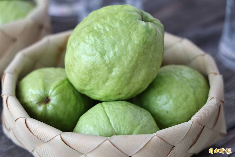 民眾感冒時,提升免疫力的食物之一就是芭樂。(資料照,記者洪瑞琴攝) 民眾感冒時,提升免疫力的食物之一就是芭樂。(資料照,記者洪瑞琴攝)