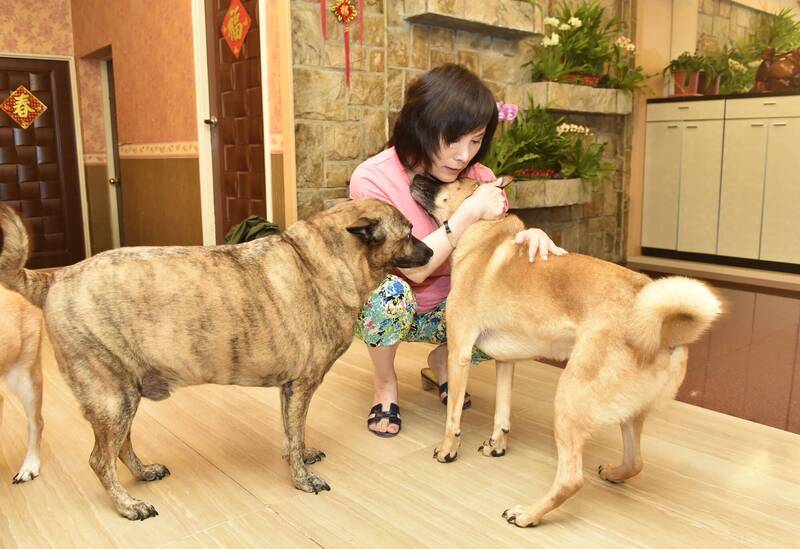 資深藝人李亞萍自曝自己罹患失智症,正接受治療中。(資料照) 資深藝人李亞萍自曝自己罹患失智症,正接受治療中。(資料照)