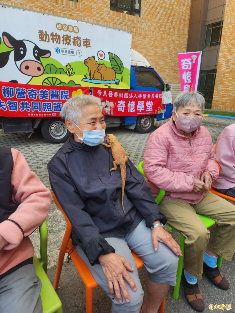 柳營奇美醫院今日開辦動物療癒課程,長者直呼好玩。(記者王涵平攝) 柳營奇美醫院今日開辦動物療癒課程,長者直呼好玩。(記者王涵平攝)