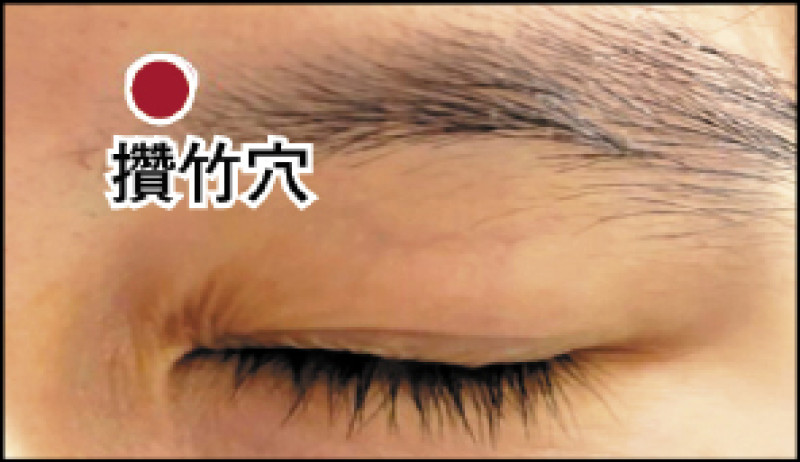 ▲攢竹穴。（照片提供／鄭傑元）