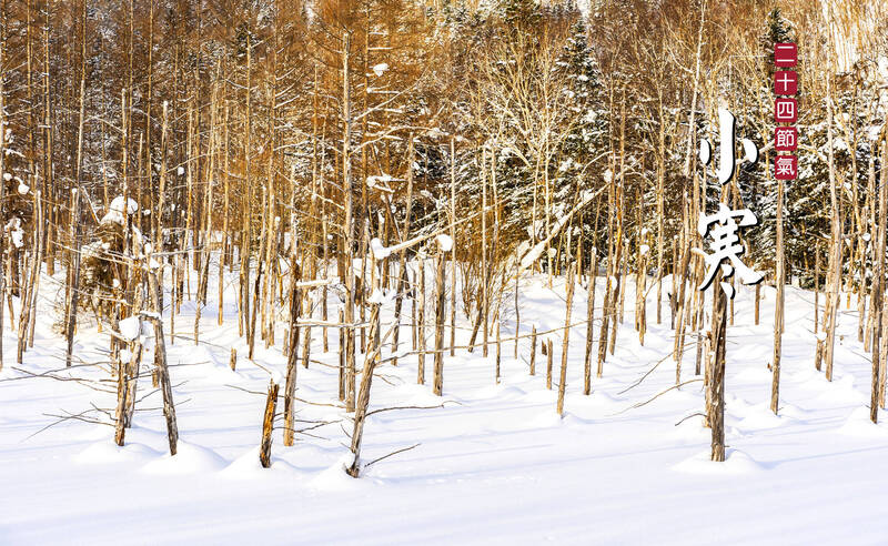 迎小寒》不要再進補囉！ 醫：出現4症狀就是補過頭