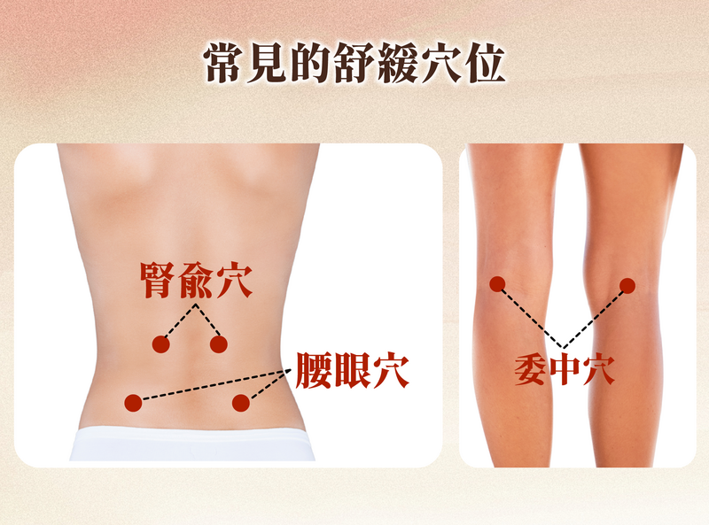 腎俞穴、腰眼穴和委中穴是常見的舒緩穴位。(吳沆祐提供) 腎俞穴、腰眼穴和委中穴是常見的舒緩穴位。(吳沆祐提供)