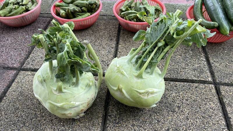 健康網》大頭菜維生素C、纖維多 農糧署推4料理脆甜又健康