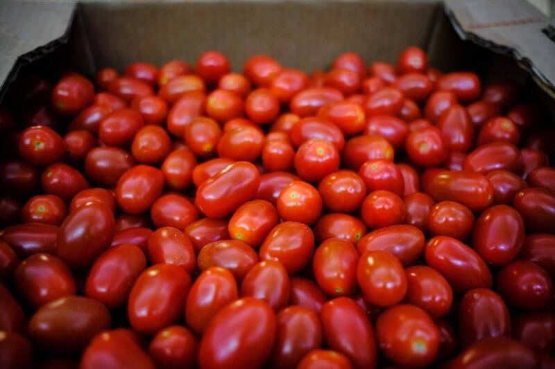 牙齦健康守護者！研究顯示番茄或減少老年人牙周炎風險