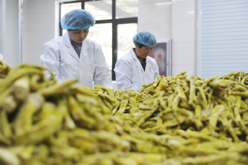 潛在超級食物！研究：竹筍有助代謝健康、穩定血糖