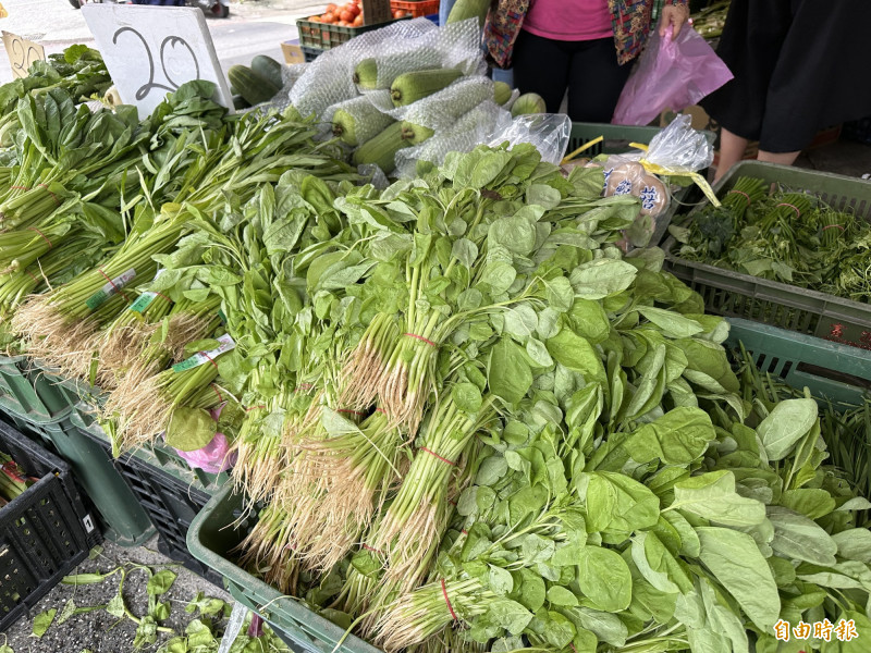 農改場教你看護蔬菜延長保鮮 Technique