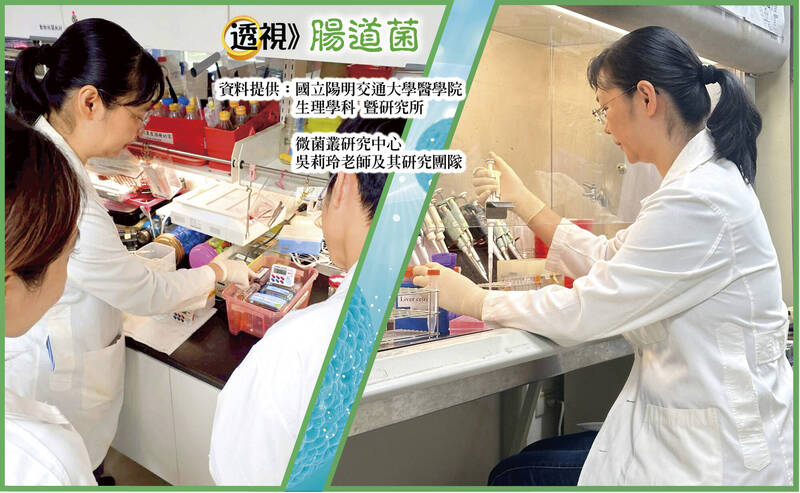 國立陽明交通大學醫學院 生理學科暨研究所/微菌叢研究中心吳莉玲老師及其研究團隊 國立陽明交通大學醫學院 生理學科暨研究所/微菌叢研究中心吳莉玲老師及其研究團隊