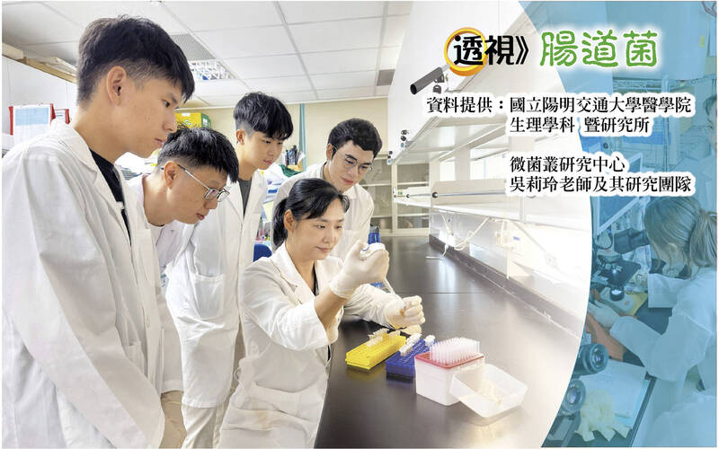 透視腸道菌》腸道菌「長不大」 過敏就容易找上門