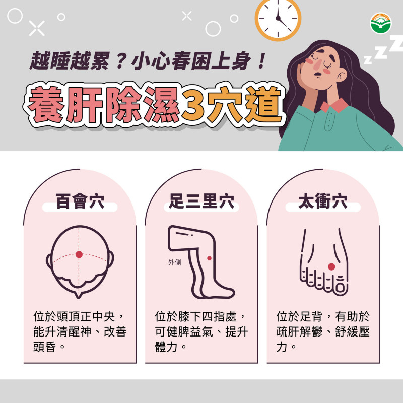 「春睏」上身恐越睡越累 中醫揭身體失衡警訊