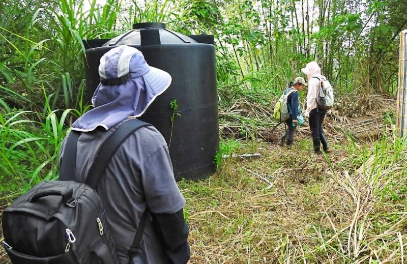 健康網》清明掃墓預防蜱蟲 醫師提野外活動3要