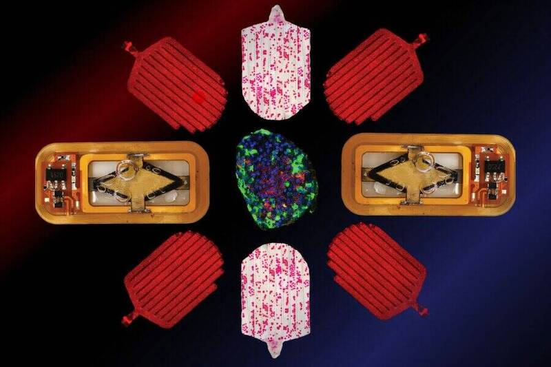 糖尿病患者有望少打針！MIT植入裝置可連續控糖90天