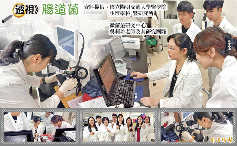 透視腸道菌》腸道失衡連動病變 眼疾也劃上等號