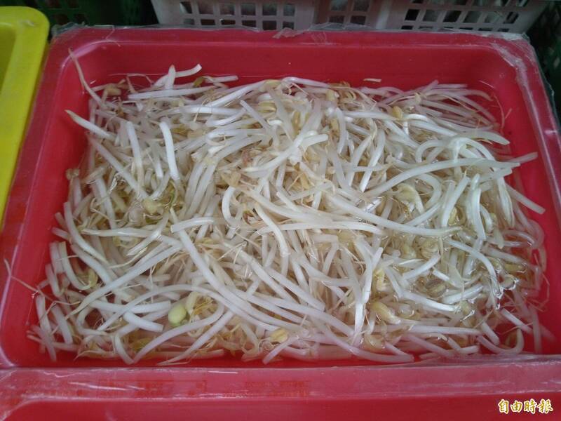 健康網》春睏上身昏沉無力 醫：從飲食補充芽菜改善