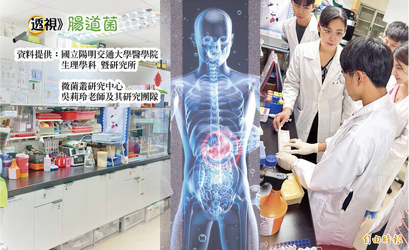 透視腸道菌》守護腸道的隱形盾牌 治療潰瘍性結腸炎新策略