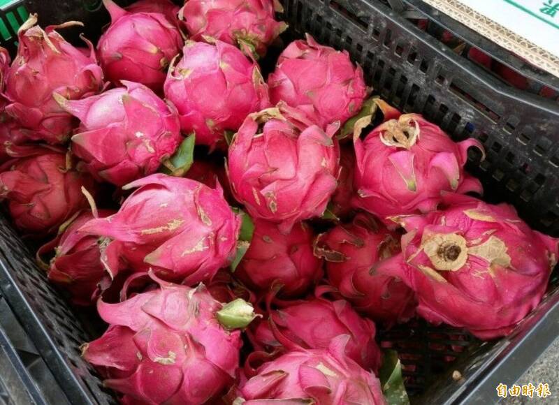 健康網》「小黑籽營養豐」營養師談火龍果5秘密