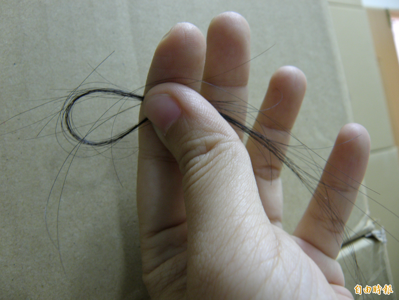 頭髮竟能看出你是夜貓還是早鳥 德研究：透視生理節奏