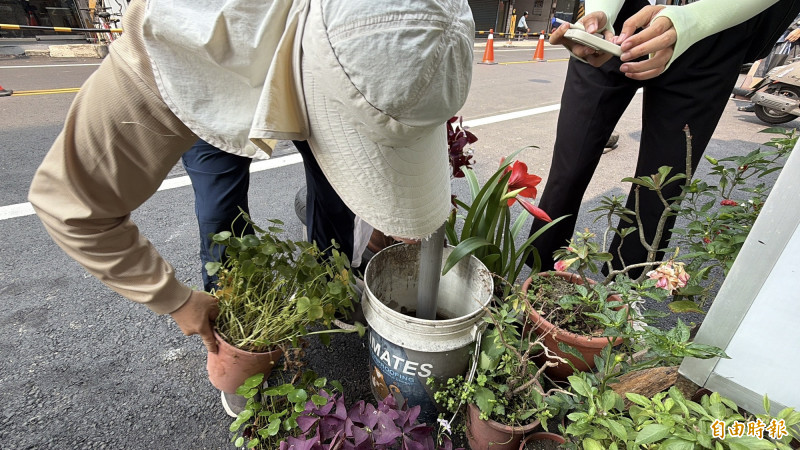 北港再現埃及斑蚊！白沙屯媽祖明抵達 疾管署、衛生局緊急巡檢