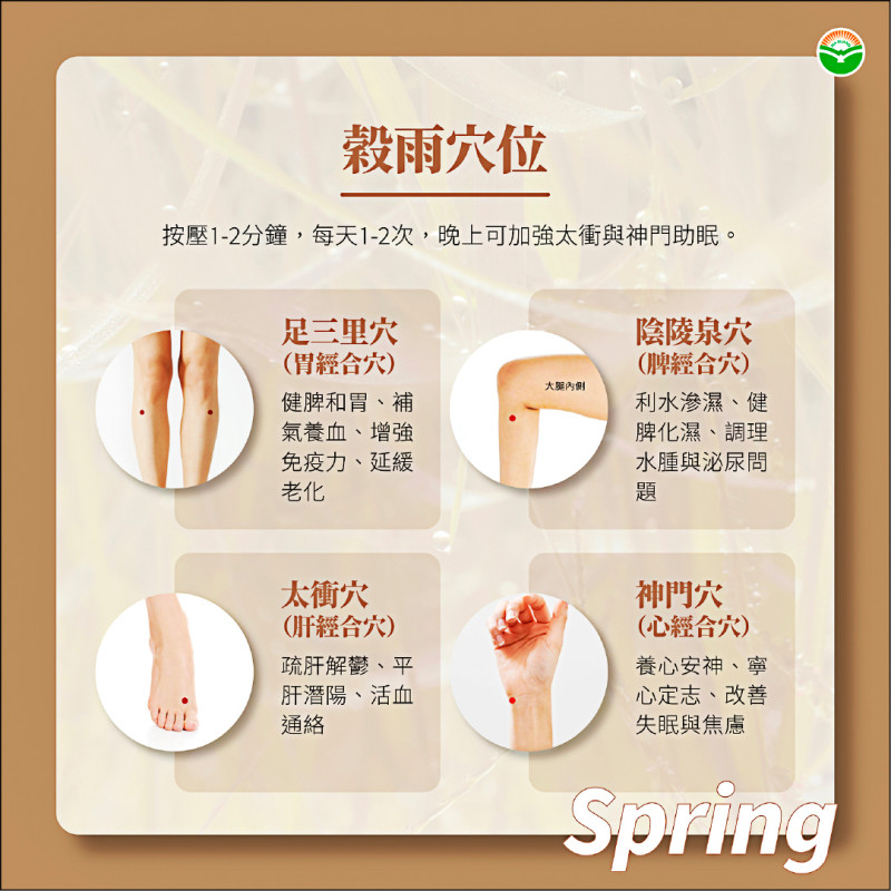 ▲掌握穀雨節氣,保養4穴位可提升免疫力、顧腸胃。(徐維偵醫師提供) ▲掌握穀雨節氣,保養4穴位可提升免疫力、顧腸胃。(徐維偵醫師提供)