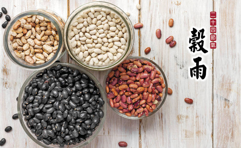 穀雨，春之末》「看似穩定」其實最脆弱 醫：腸道正在定型重組