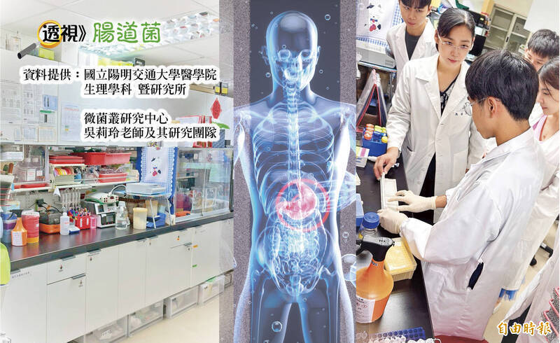 透視腸道菌》肥胖不是吃太多、動太少 1隱形火苗造成身體發炎