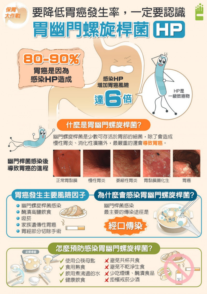 幽門螺旋桿菌不可輕忽！醫：篩檢與治療 有效降低胃癌風險