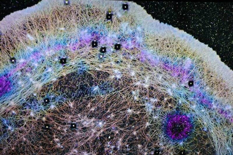 癌細胞不只是擴散！  研究揭細胞內「隱形流動」 挑戰傳統認知