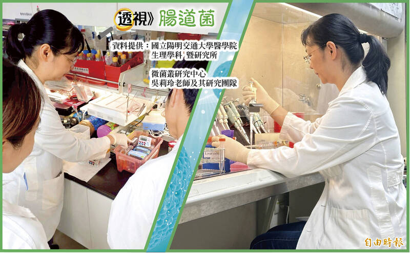透視腸道菌》腸炎加劇合併焦慮、憂鬱 1雌激素受體可望有解