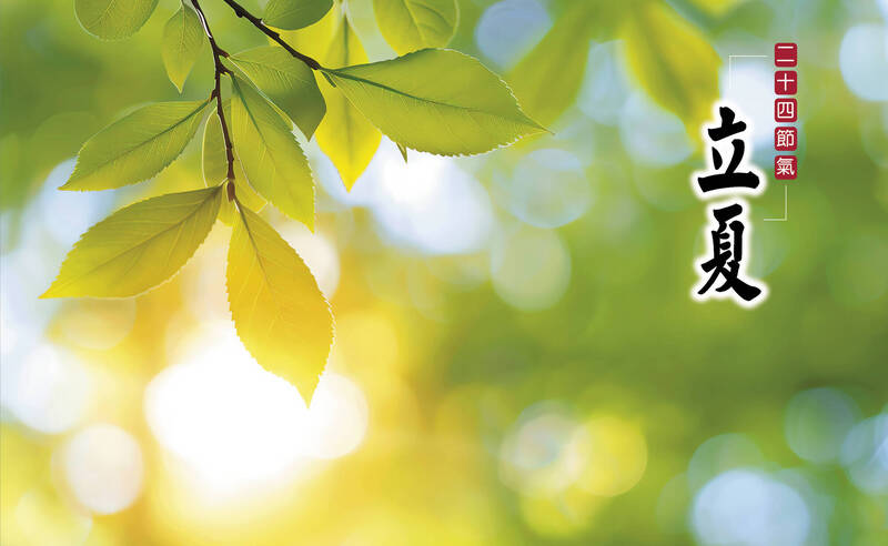 準備過一「夏」》立夏別急著衝效率！ 醫：腸道和神經系統恐先被操壞