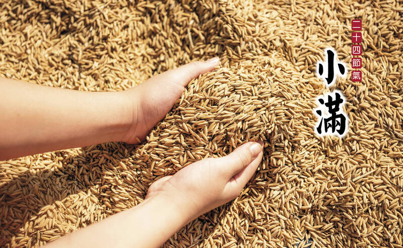 小滿迎暑熱》腸道卡卡別怪消化差  醫揭關鍵不只在腸胃