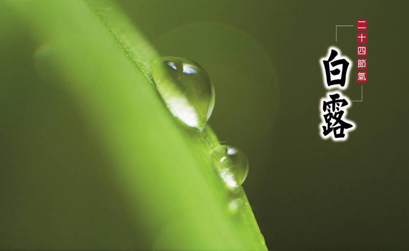 白露，迎秋涼》鼻塞、乾咳易上身 中醫：遠離過敏防秋燥靠3招