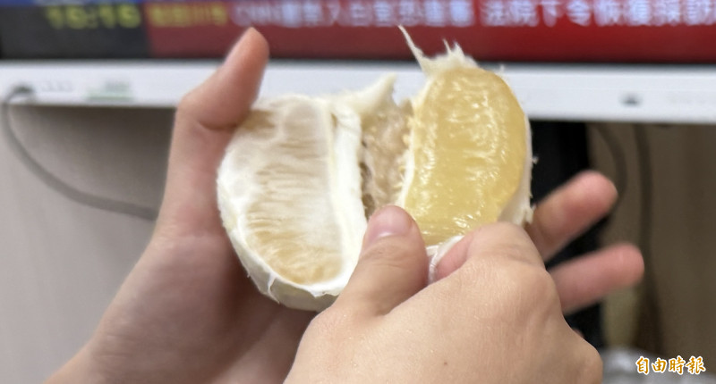 柚子吃起來清爽,不代表能把烤肉的油脂「沖掉」,也無法抵銷已吃下的熱量。(記者羅碧攝) 柚子吃起來清爽,不代表能把烤肉的油脂「沖掉」,也無法抵銷已吃下的熱量。(記者羅碧攝)