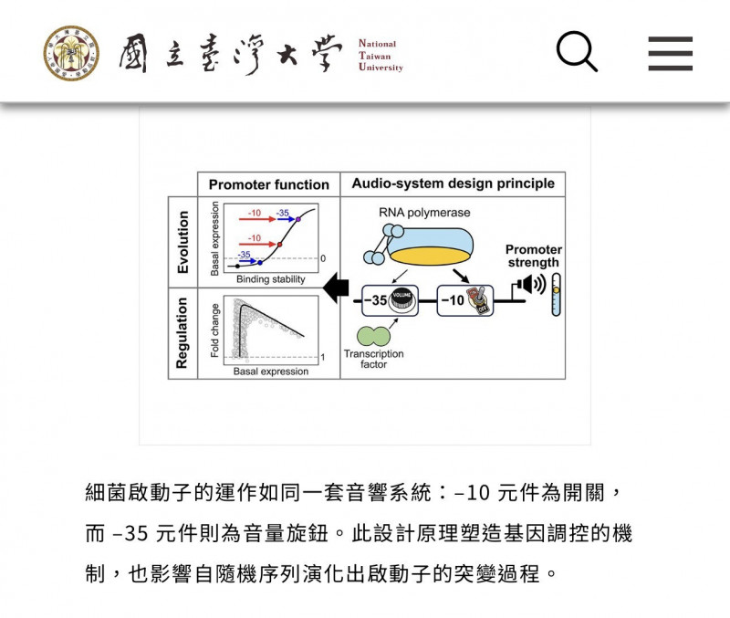 台大生命科學系副教授周信宏研究團隊發現,細菌基因也有「開關、音量旋鈕」。(記者林曉雲翻攝) 台大生命科學系副教授周信宏研究團隊發現,細菌基因也有「開關、音量旋鈕」。(記者林曉雲翻攝)