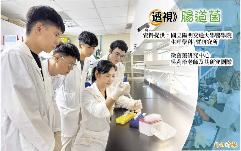 透視腸道菌》鎖定腸道潛伏壞菌 精準壓倒發炎性腸病