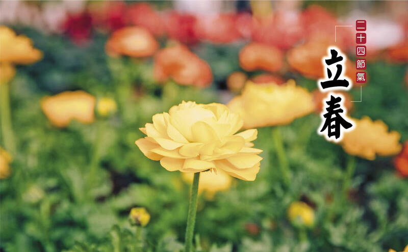 立春一到》春睏不是病卻很煩 醫揭最常見4大症狀