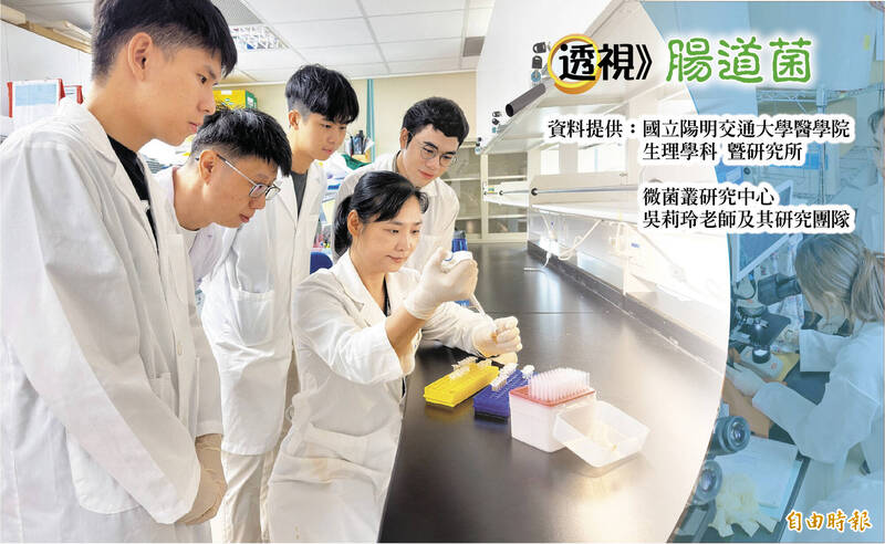 透視腸道菌》肥胖傷腦 高脂飲食男女損傷大不同