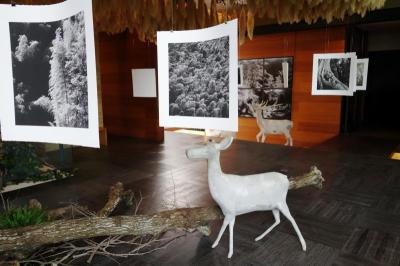 本周建案活動哪裡去 通通報你知