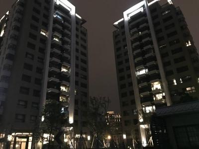 青埔入住率到底幾成？ 網友：野狗比人多