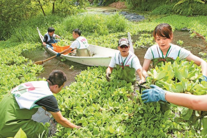 信義志工開拔至宜蘭協助整治濕地外來物種，保育自然生態。