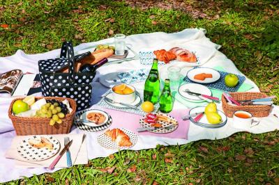 初夏好舒服 野餐露營掌握5秘訣更好玩