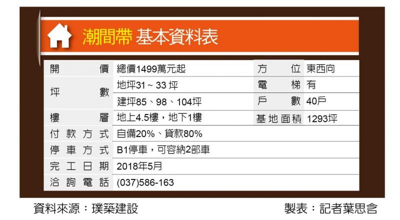 潮間帶 大埔重劃區電梯別墅 